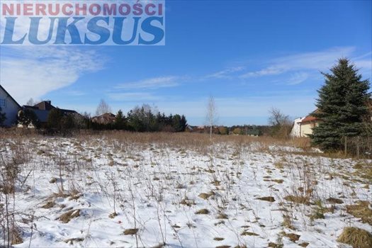 Działka budowlana na sprzedaż Łoś, Łoś 1 184m2 Foto 3