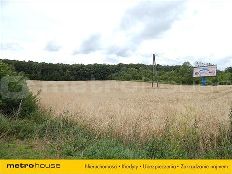 Działka inna na sprzedaż Janów, Chełm 20 269m2 Foto 3