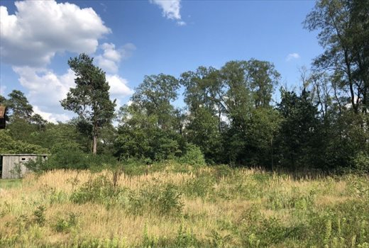 Działka budowlana na sprzedaż Otwock, Wiejska, tel: 507740190 999m2 Foto 2