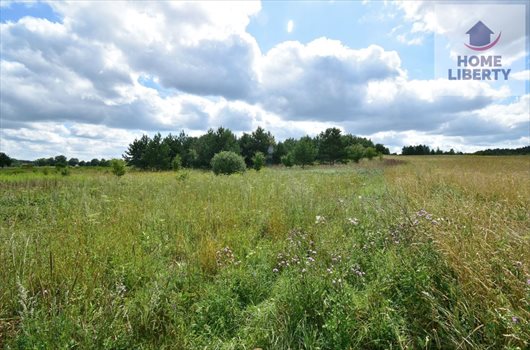 Działka budowlana na sprzedaż Giedajty 1 586m2 Foto 9