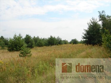 Działka budowlana na sprzedaż Bledzew, Elektrownia 1 000m2 Foto 3