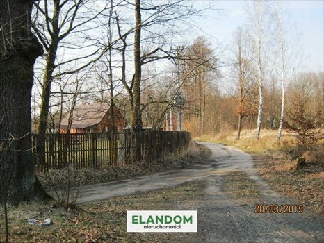 Działka rolna na sprzedaż Ponurzyca 10 000m2 Foto 10