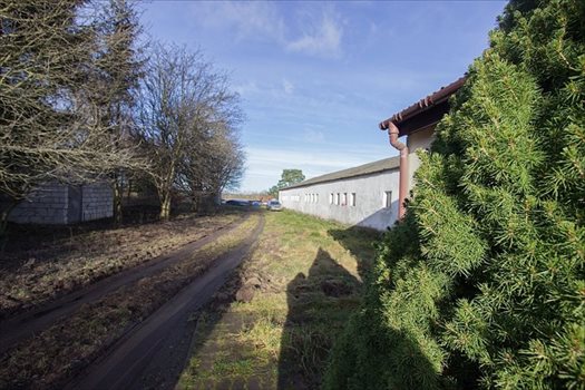Działka budowlana na sprzedaż Trzeszczyn 14 785m2 Foto 5