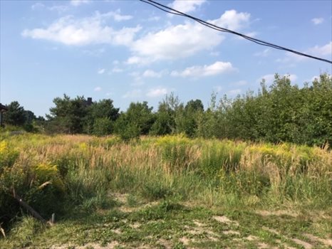 Działka budowlana na sprzedaż Kanie, Polna 1 500m2 Foto 2
