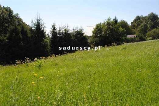 Działka budowlana na sprzedaż Mogilany, Leszczynowa 1 000m2 Foto 3
