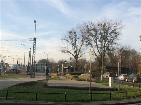 Działka komercyjna pod dzierżawę Warszawa, Żoliborz, Słowackiego 56 80m2 Foto 3
