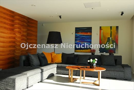 Dom na wynajem Tryszczyn 386m2 Foto 1