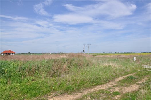 Działka budowlana na sprzedaż Rogów Sobócki, Radosna 1 178m2 Foto 5