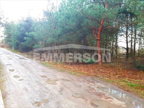 Działka budowlana na sprzedaż Prażmów, Łoś 1 900m2 Foto 3