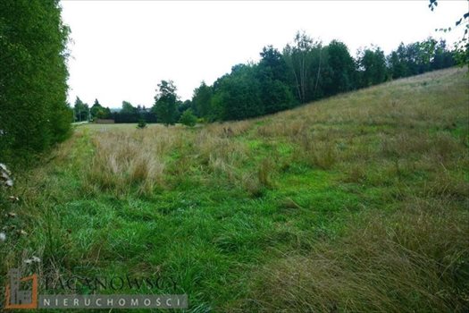 Działka budowlana na sprzedaż Michałowice 2 000m2 Foto 7