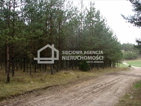 Działka leśna na sprzedaż Małe Chełmy 165 900m2 Foto 8