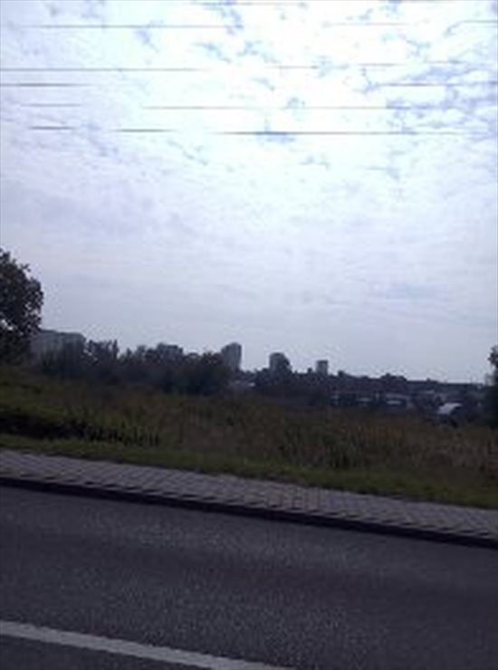 Działka budowlana na sprzedaż Zabrze, ul. Grunwaldzka 5 260m2 Foto 3
