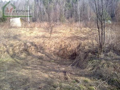 Działka budowlana na sprzedaż Nowy Sącz 2 400m2 Foto 1