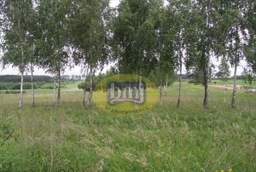 Działka budowlana na sprzedaż Dąbrówki 5 250m2 Foto 2