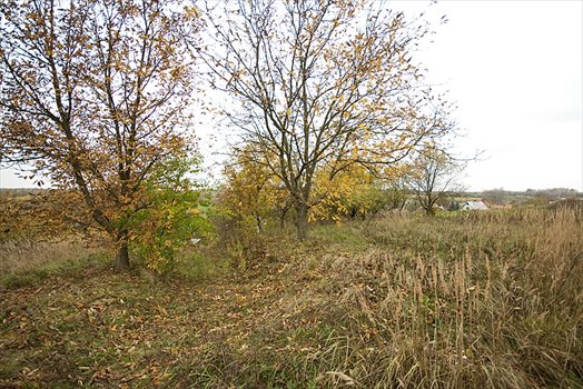 Dom na sprzedaż Kazimierz Dolny, Jeziorszczyzna 300m2 Foto 6