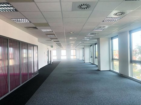Lokal użytkowy na wynajem Kraków, Krowodrza, Armii Krajowej 860m2 Foto 2