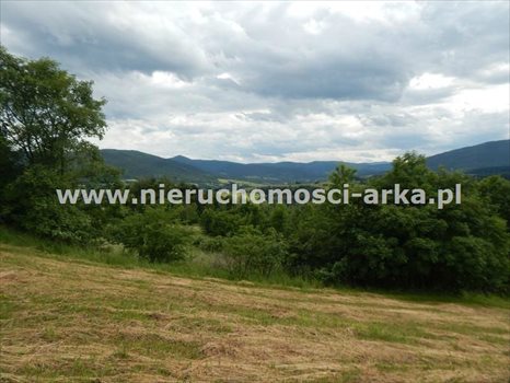 Działka budowlana na sprzedaż Dobra 6 100m2 Foto 5