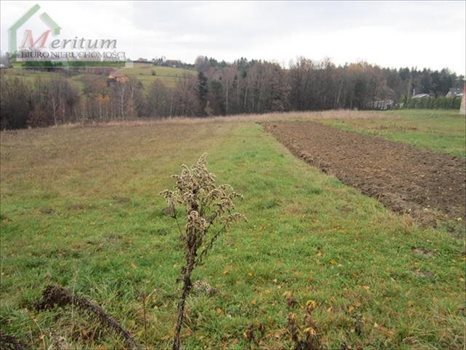 Działka budowlana na sprzedaż Nowy Sącz 18 300m2 Foto 1