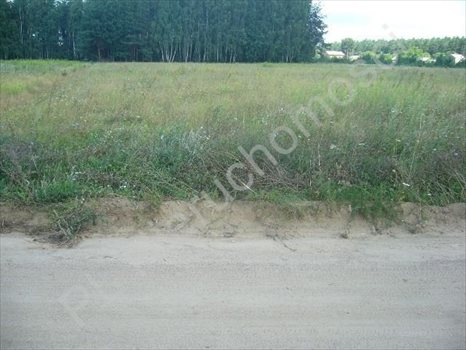 Działka rolna na sprzedaż Grzegorzewice 17 200m2 Foto 5