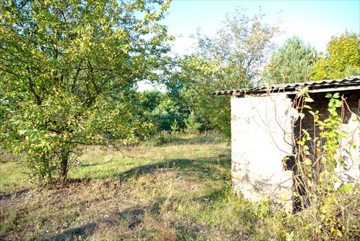 Działka komercyjna na sprzedaż Radziejowice-Parcel 3 900m2 Foto 5