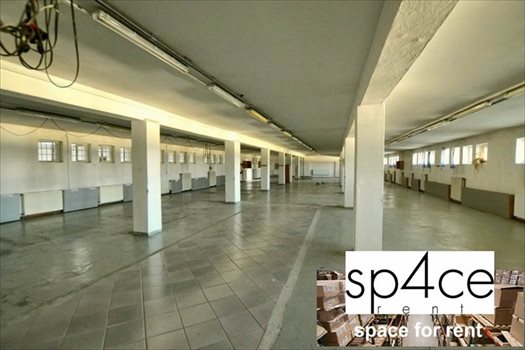 Lokal użytkowy na wynajem Hala/Magazyn , 2470 m², OPOLE 2 478m2 Foto 4