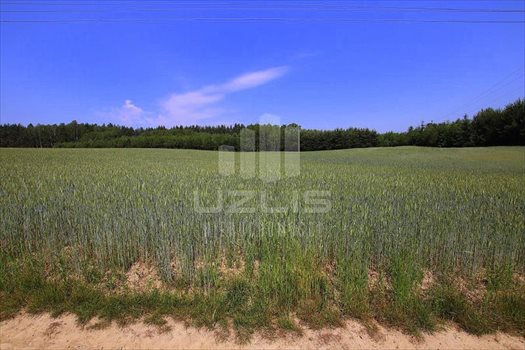 Działka inna na sprzedaż Klonówka, Las, Rzeka 101 600m2 Foto 10