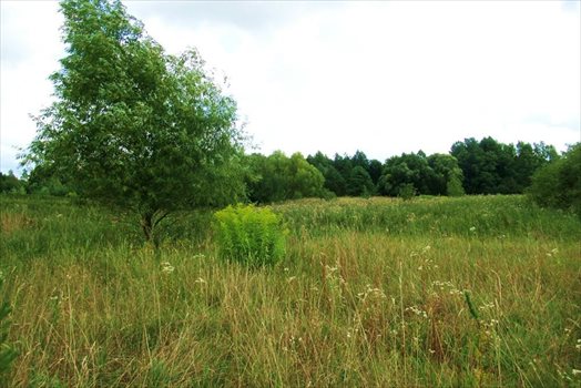 Działka inna na sprzedaż Mrozy Wielkie 7 111m2 Foto 8