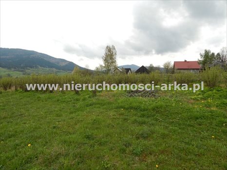 Działka budowlana na sprzedaż Jurków 1 600m2 Foto 6