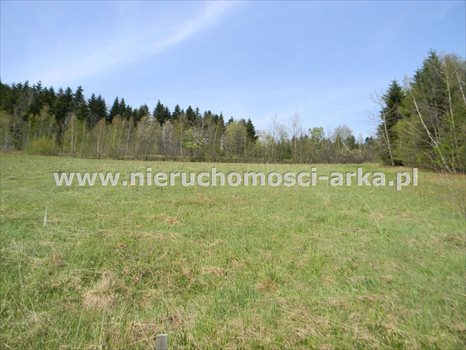 Działka rolna na sprzedaż Stara Wieś 12 900m2 Foto 6