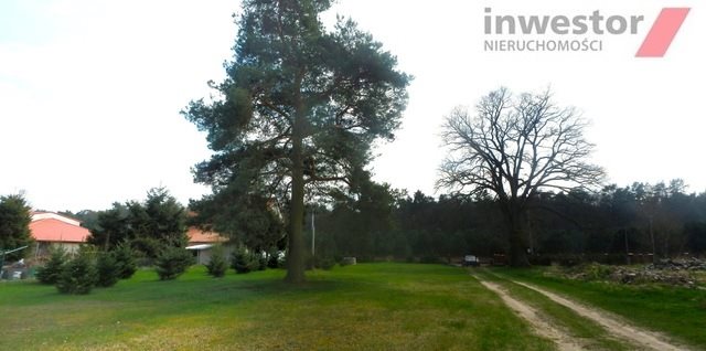 Dom na sprzedaż Brzózki 180m2 Foto 8