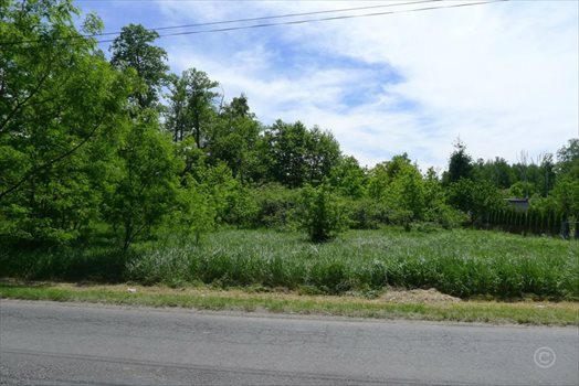 Działka inna na sprzedaż Zgierz, Piaskowice 2 590m2 Foto 2