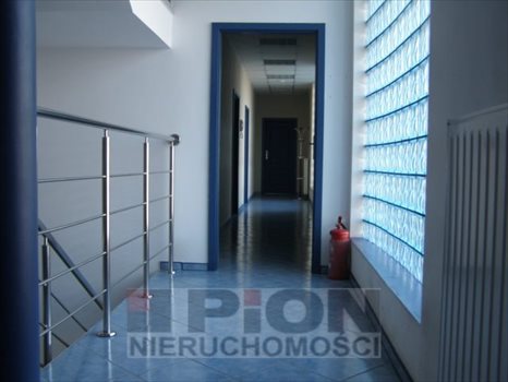 Lokal użytkowy na wynajem Poznań, Grunwald 48m2 Foto 3