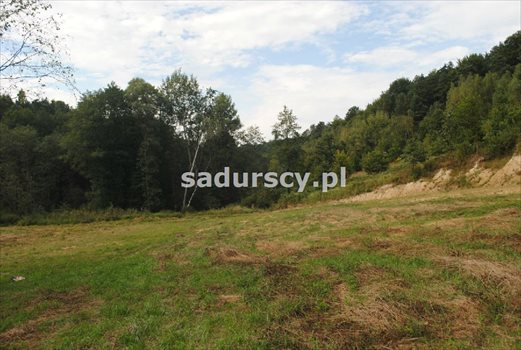 Działka budowlana pod dzierżawę Gosprzydowa 50 000m2 Foto 10