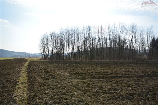 Działka rekreacyjna na sprzedaż Wara 2 955m2 Foto 8