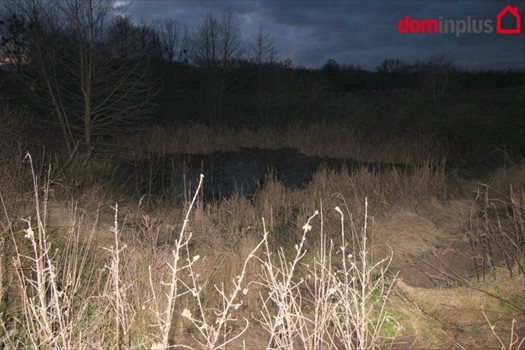 Działka inna na sprzedaż Trutowo 7 952m2 Foto 4