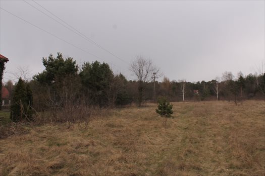 Działka rolna na sprzedaż Konstantynów Łódzki, Żabiczki 11 000m2 Foto 9