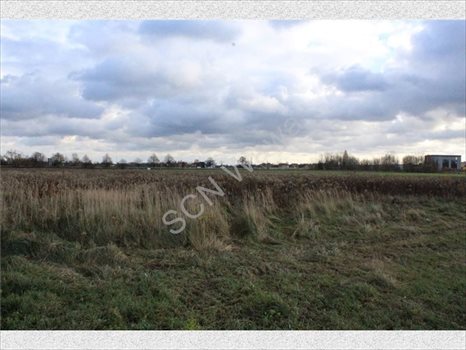 Działka rolna na sprzedaż Warszawa, Wilanów 4 388m2 Foto 4