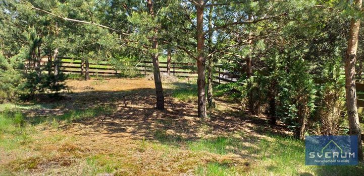 Działka rekreacyjna na sprzedaż Skowronów 854m2 Foto 7