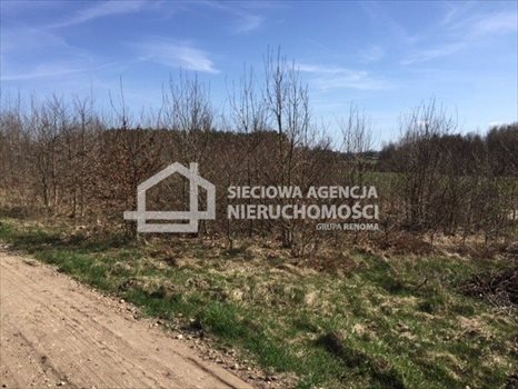 Działka budowlana na sprzedaż Ramleje 971m2 Foto 4