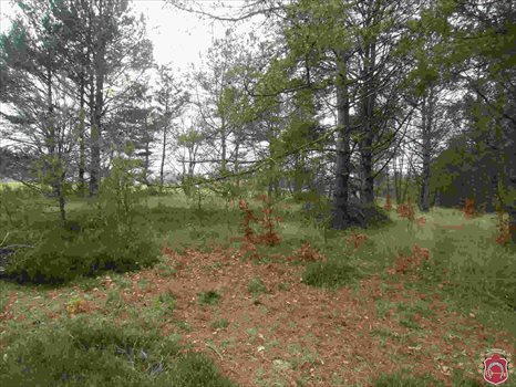 Działka budowlana na sprzedaż Kamień, Piaskowa 1 077m2 Foto 5