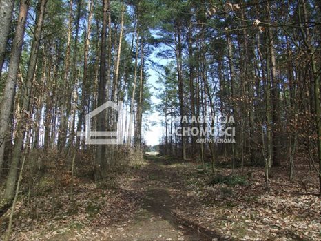 Działka budowlana na sprzedaż Sitno 1 001m2 Foto 4