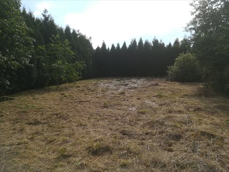 Działka budowlana na sprzedaż Ornontowice, Łąkowa 2 434m2 Foto 3