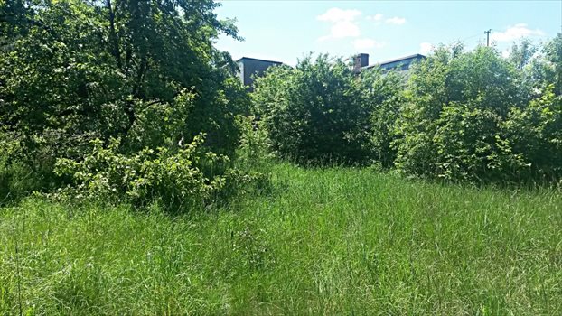 Działka budowlana na sprzedaż Częstochowa, Gnaszyn Górny, jezioran 739m2 Foto 2