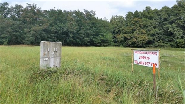 Działka inna na sprzedaż Ostrowo 2 499m2 Foto 2