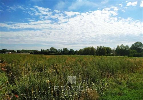 Działka budowlana na sprzedaż Warszawa, Wilanów Zawady, Ruczaj 11 542m2 Foto 1