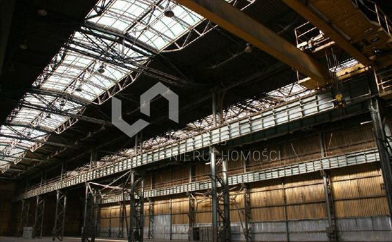 Lokal użytkowy na sprzedaż Łojki 6 000m2 Foto 3