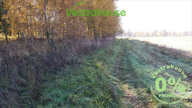 Działka rolna na sprzedaż Główczyce 5 026m2 Foto 7