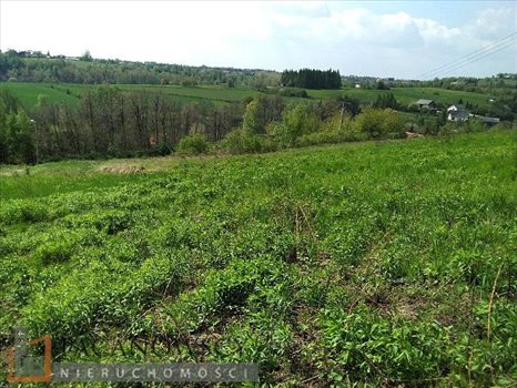 Działka budowlana na sprzedaż Wierzchowie 1 750m2 Foto 4