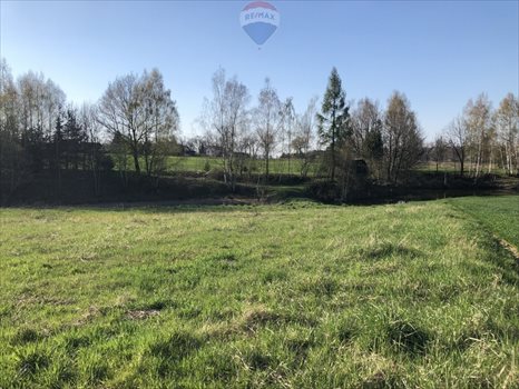 Działka budowlana na sprzedaż Dankowice, Podlesie 1 742m2 Foto 7