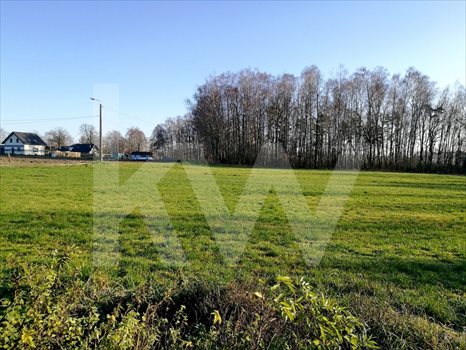 Działka budowlana na sprzedaż Brzeźce 3 700m2 Foto 4